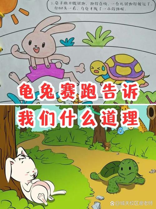 “龟兔赛跑”打一生肖是什么,龟兔赛跑啥意思