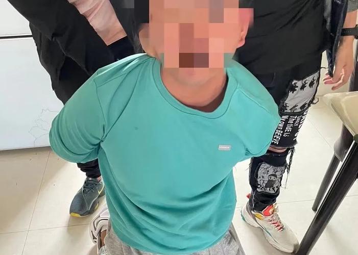 泰达币诈骗案,泰达币诈骗案警察管吗