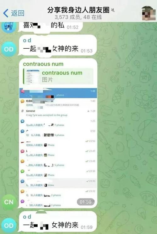 telegeram缓存的视频,telegram视频在哪