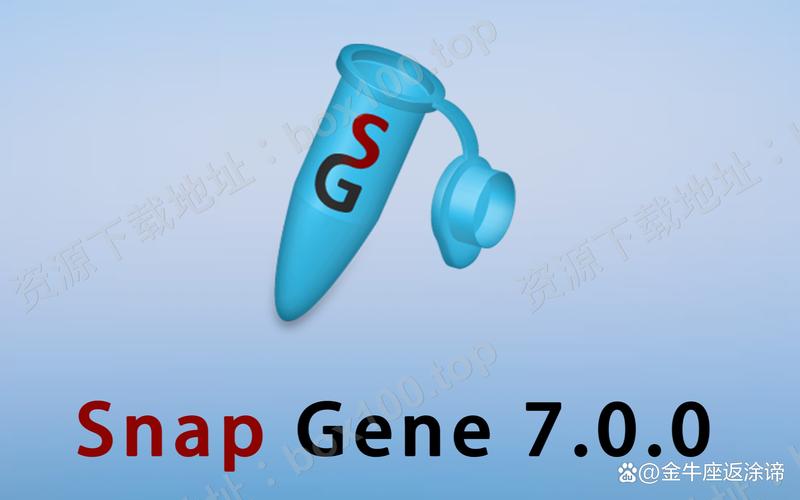 snapseed正版在哪下,snapseed软件安装官方