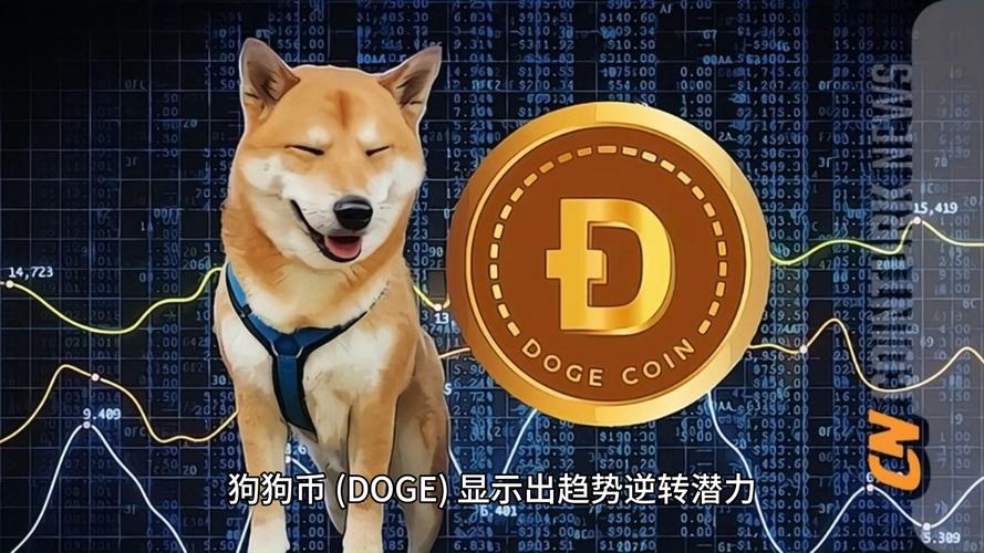 狗狗币资金盘,狗狗币资金流向
