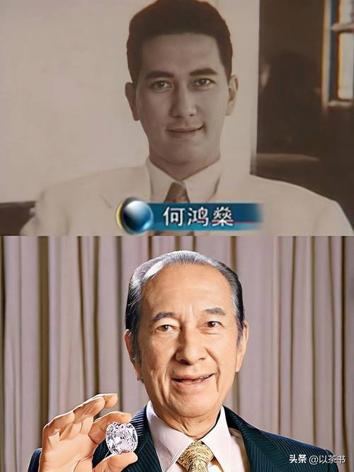 许鸿升妻子,许鸿仪个人简历