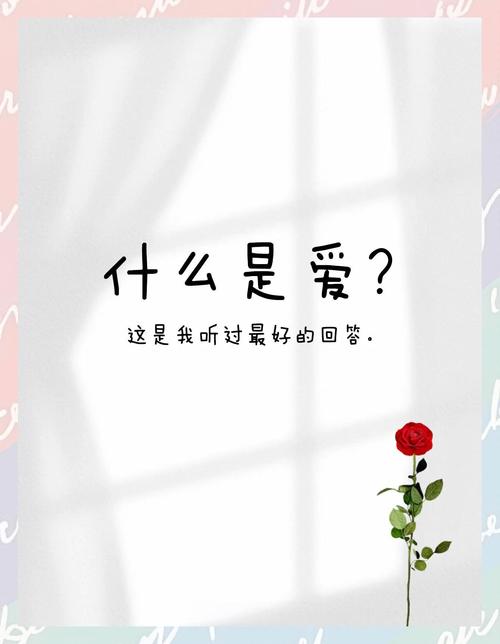 什么是爱最好的回答,什么是爱最好的回答八个字