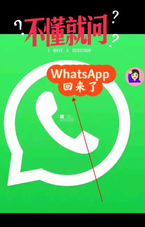 海外版whatsapp,海外版whatsapp下载苹果手机下载