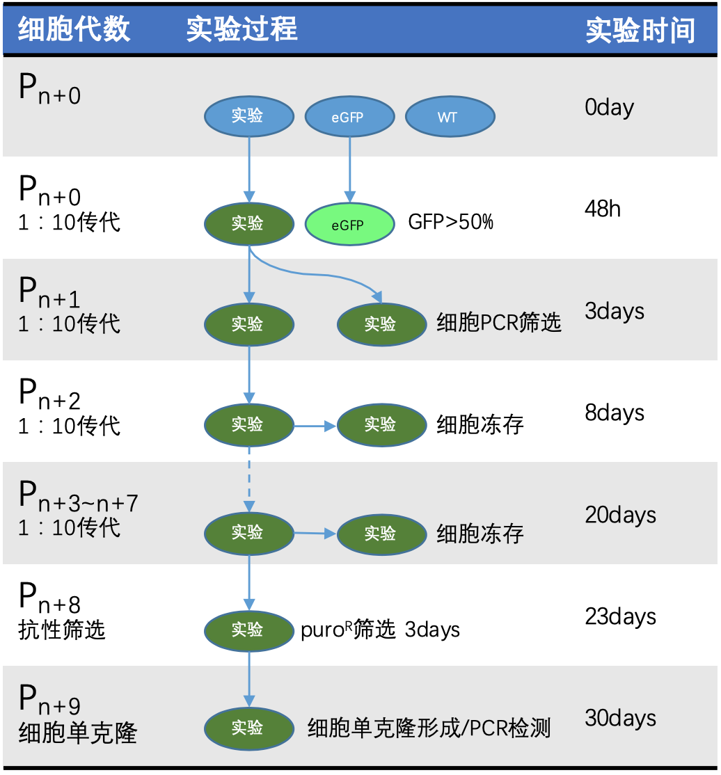 橘子vp加速器节点-橘子uu加速器节点选择