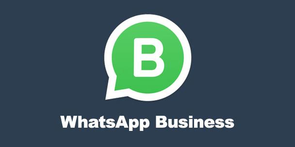 whatsapp哪国的软件-whatsapp属于哪个国家