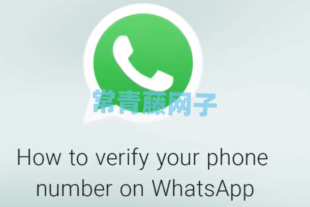 whatsapp安卓版下载2024-whatsapp假装找错人新加坡