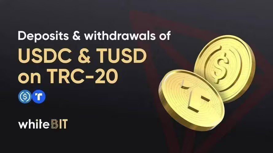 token钱包没有usdt-imtoken钱包没有usdt