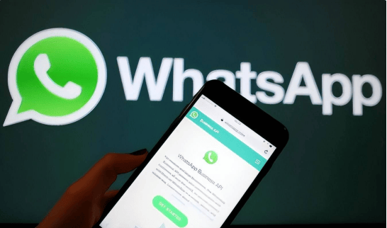 whatsapp下载安卓手机版下载-whatsapp下载安卓版中文版