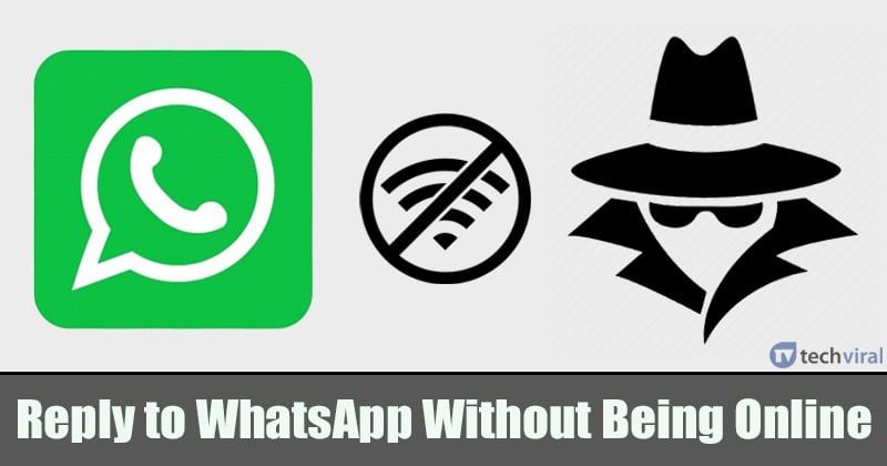 whatsapp安卓下载安装-whatsapp安卓下载安装2024