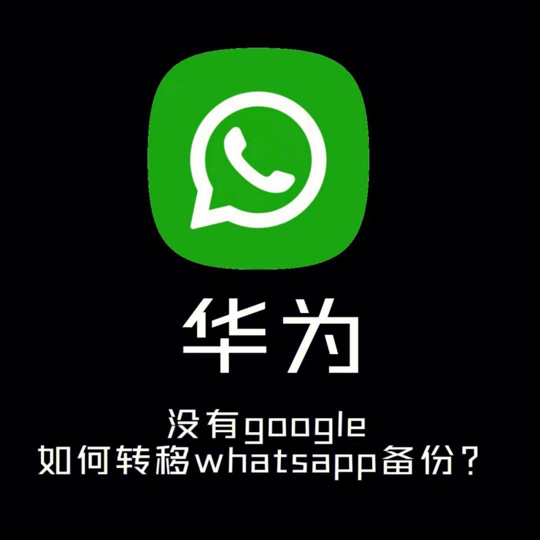 whatsapp-whatsapp下载安卓新版