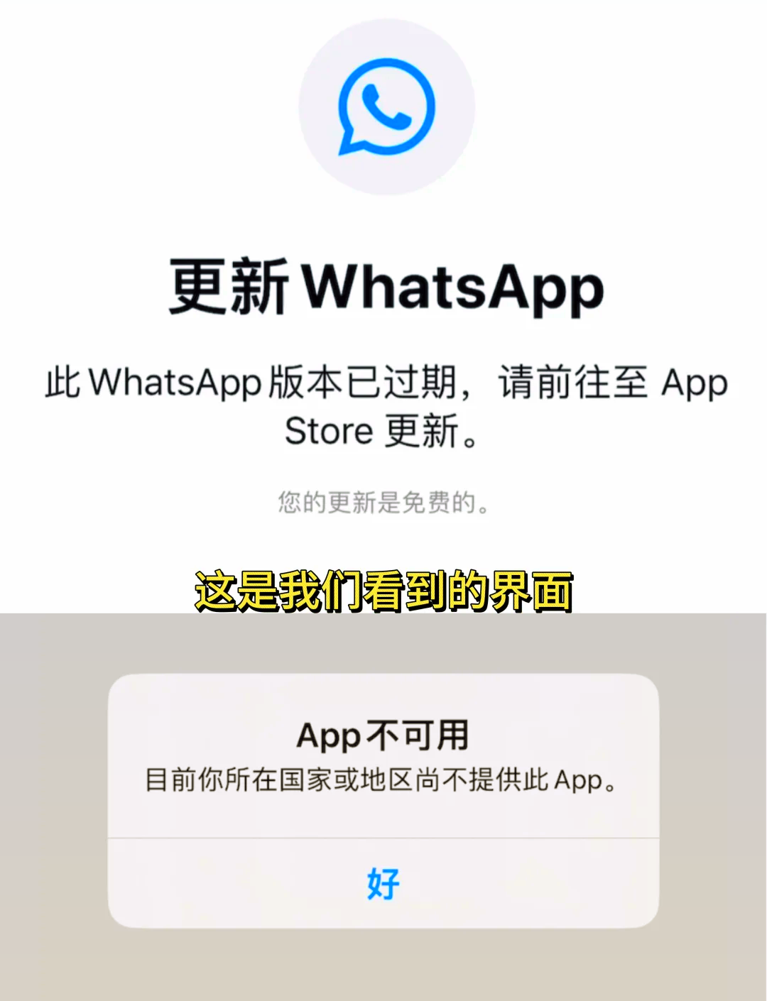 whatsapp软件下载官网-whatsapp app下载安装