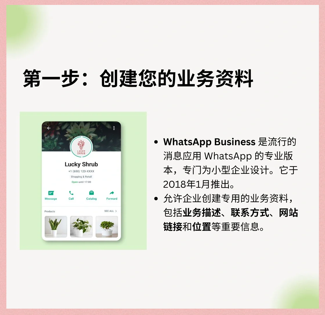 whatsappmessenger和whatsapp区别-whatsapp messenger和whatsapp区别